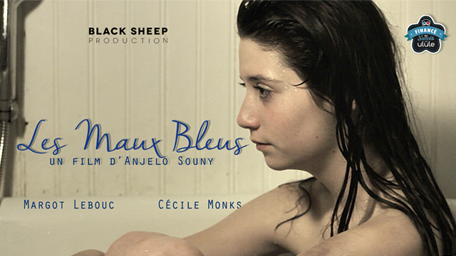 Image de couverture de la collecte Les Maux Bleus