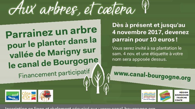 Cover image of the project Aux arbres, et caetera