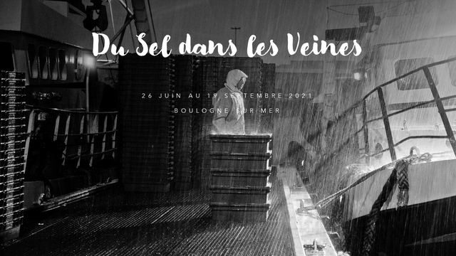Cover image of the project Du Sel dans les Veines