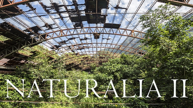 Cover image of the project Publication du livre Naturalia II