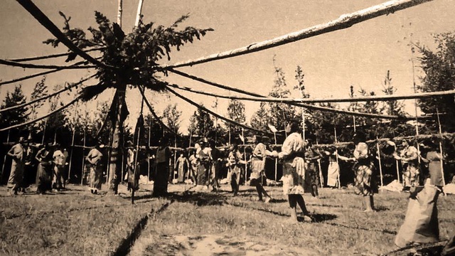 Cover image of the project Danse face au Soleil - Año dos