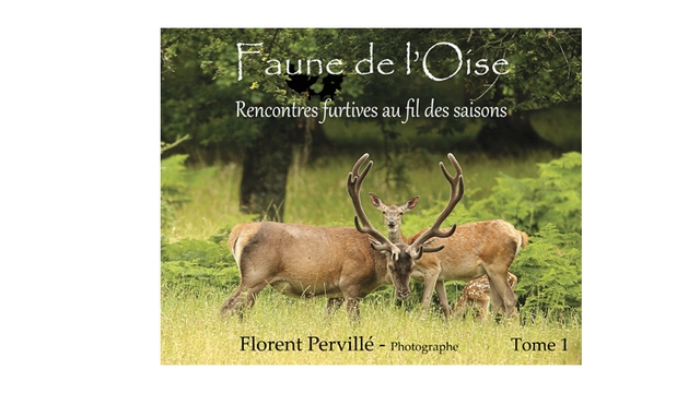 Cover image of the project FAUNE DE L'OISE