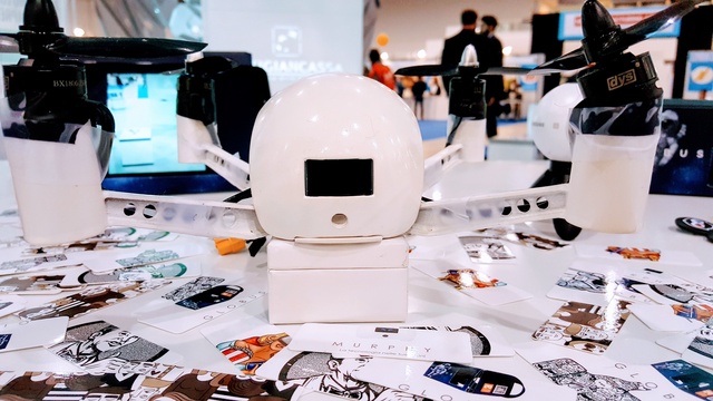 Video presentation of the project