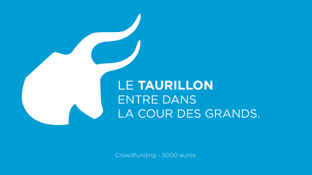 Imagen de portada del proyecto El Taurillon en primera división