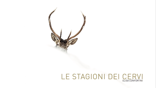 Cover image of the project LE STAGIONI DEI CERVI