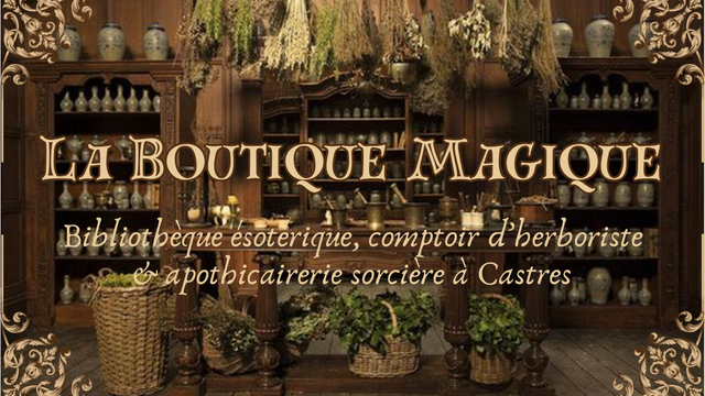 Image de couverture de la collecte La Boutique Magique