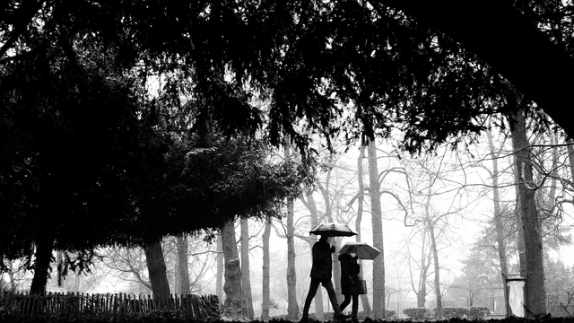 Image de couverture de la collecte Exposition photo : Les silhouettes de Cachan