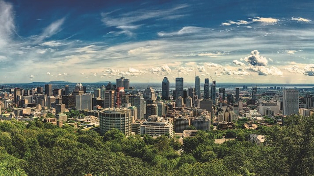 Cover image of the project Politique urbaine à Montreal: Un guide du citoyen