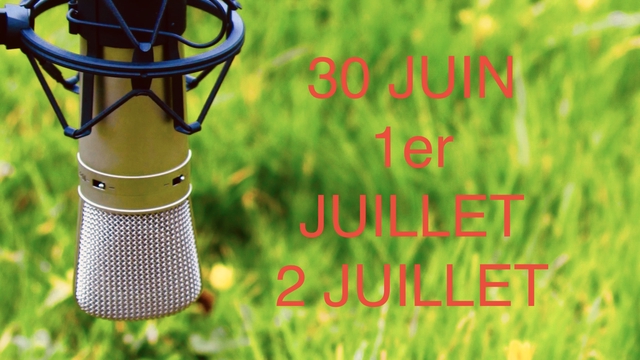 Cover image of the project Festival Jazz à Gomené