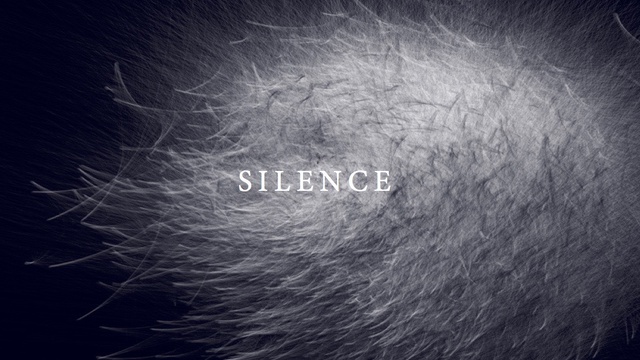 Image de couverture de la collecte SILENCE