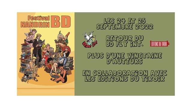 Cover image of the project Festival BD Fly International