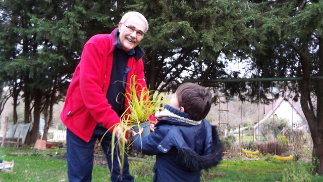 Cover image of the project "Les Plantes en Folie"