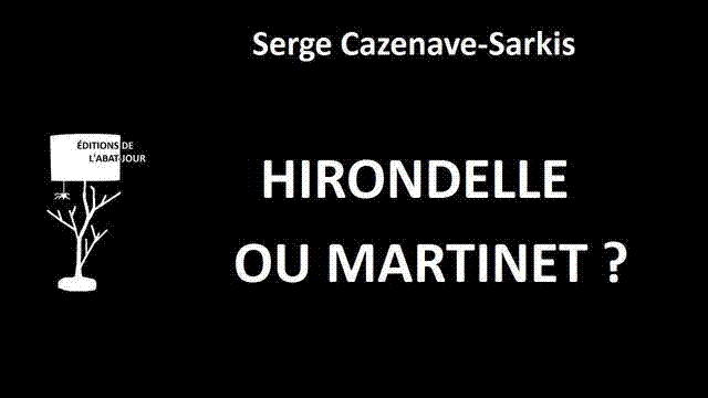 Cover image of the project « Hirondelle ou martinet ? » de Serge Cazenave-Sarkis
