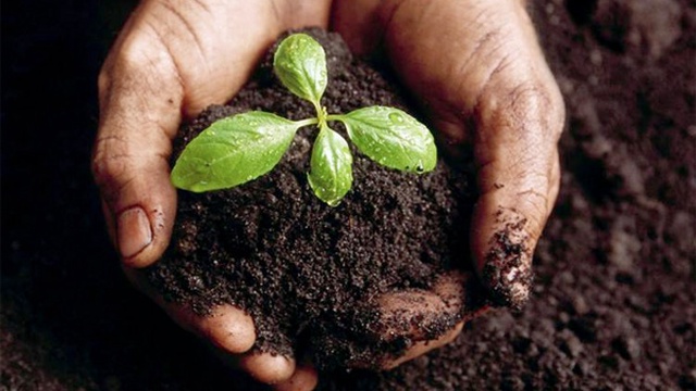Image de couverture de la collecte Les Légumes du Petit Paradis
