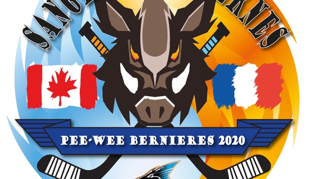 Immagine di copertina del progetto Les Petits Sangliers au pays du Hockey