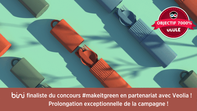Video presentation of the project