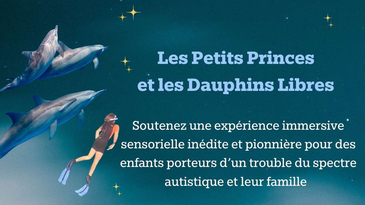 Enfants autistes à la rencontre des dauphins libres - Ulule