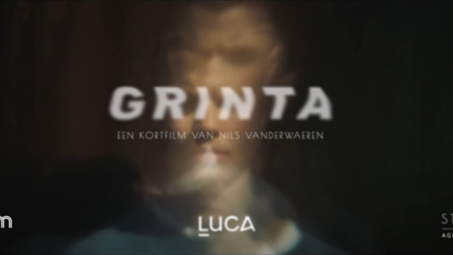 Cover image of the project Grinta