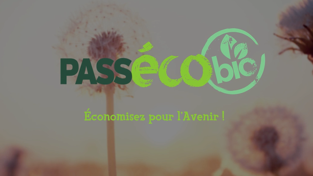 Video presentation of the project