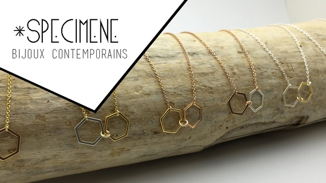 Cover image of the project Specimene - Les bijoux contemporains