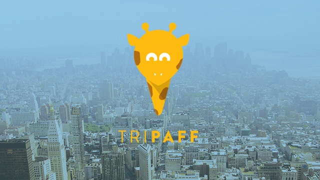 Video presentation of the project