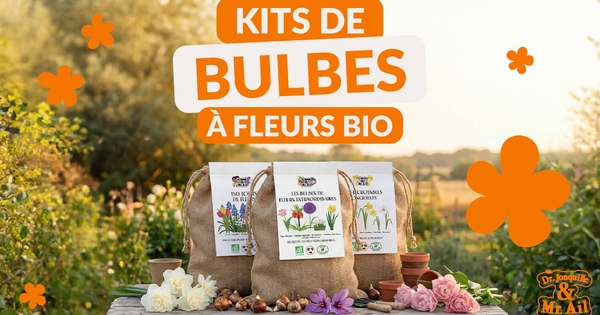 Prolongations 🤩 Kits thématiques de bulbes à fleurs BIO — free download