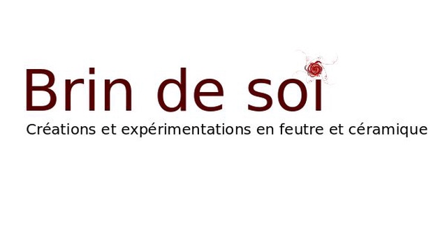 Cover image of the project Brin de soi vagabonde