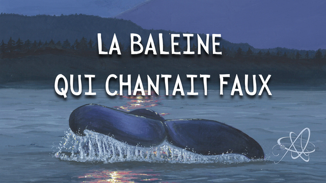 Imagen de portada del proyecto La baleine qui chantait faux
