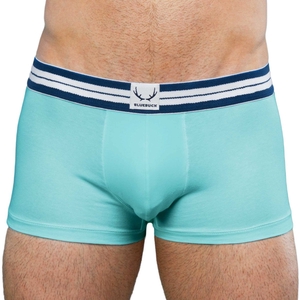 Boxer turquoise