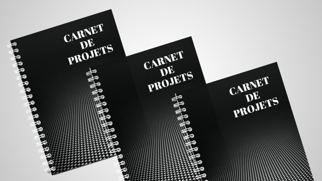 Video presentation of the project