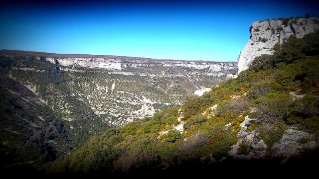 Cover image of the project A la Terre Native
