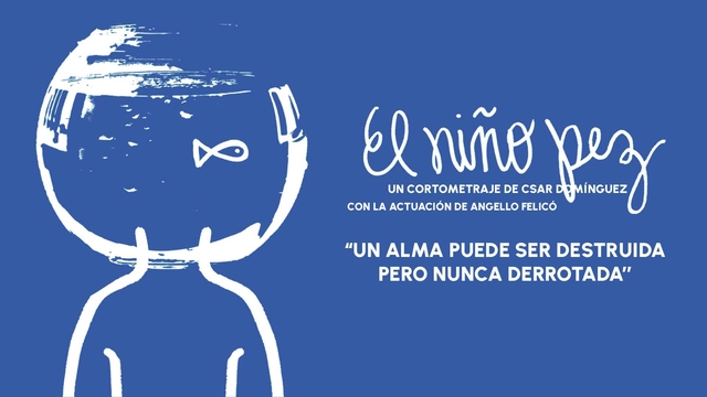 Video presentation of the project