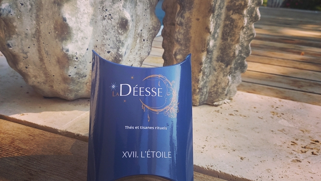 Cover image of the project LaDéesse dans les étoiles !!