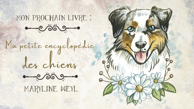 Image de couverture de la collecte Ma petite encyclopédie des chiens