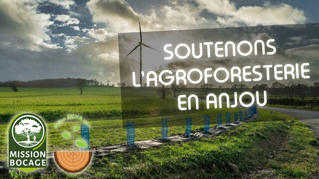 Video presentation of the project
