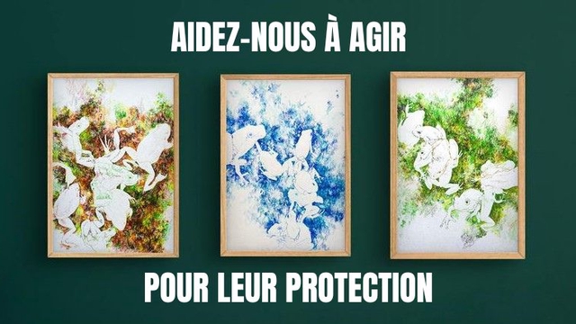Cover image of the project 🐸 De l'Art pour sauver des grenouilles