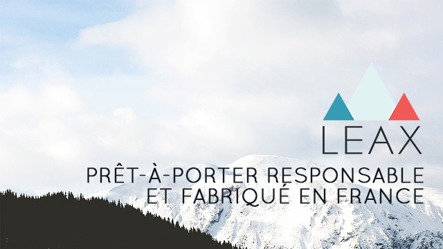 Video presentation of the project