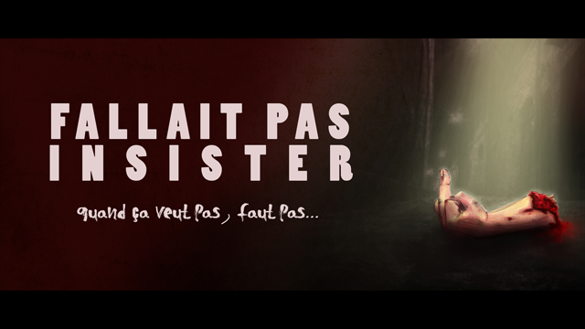 Cover image of the project Fallait pas insister