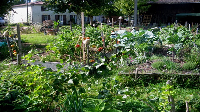 Cover image of the project "LA FERME A CULTURE" :  POTABILIS eco-lieu
