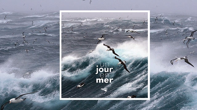 Cover image of the project Un jour en mer, le livre
