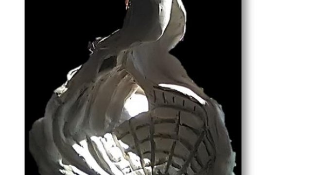 Image de couverture de la collecte Réalisation d'une oeuvre monumentale