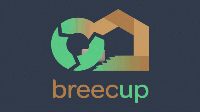 Video presentation of the project
