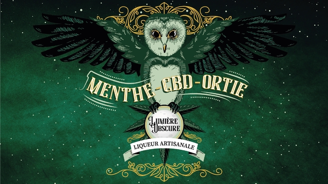 Cover image of the project Lumière Obscure