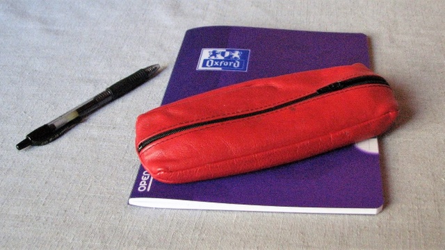 Cover image of the project Les souvenirs de Tatie Monique