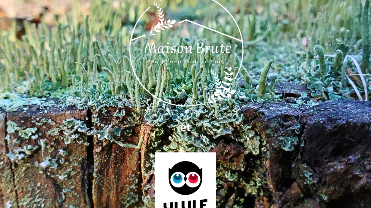 Maison Brute Bijoux inspirés de la Terre Ulule