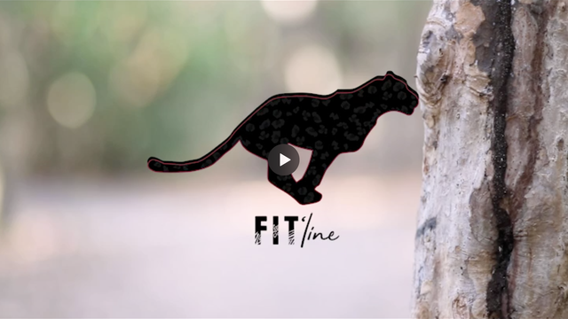 Video presentation of the project