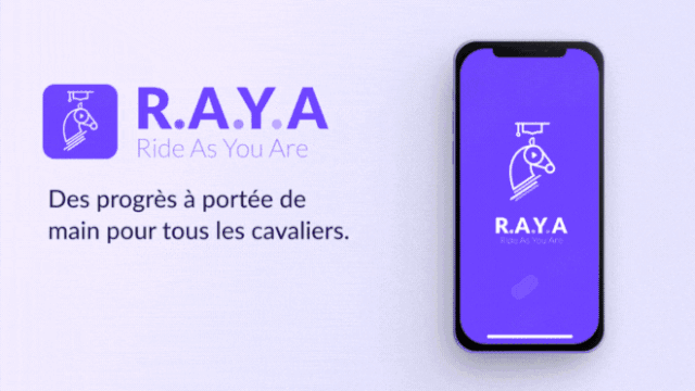 Video presentation of the project