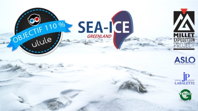 Video presentation of the project