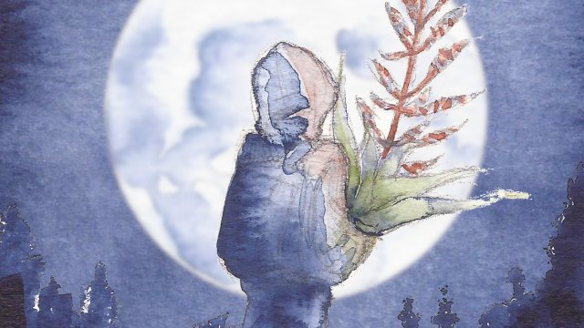 Cover image of the project JE SUIS UNIQUE
