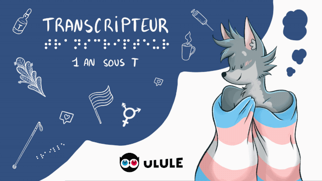 Cover image of the project Transcripteur, 1 an sous T